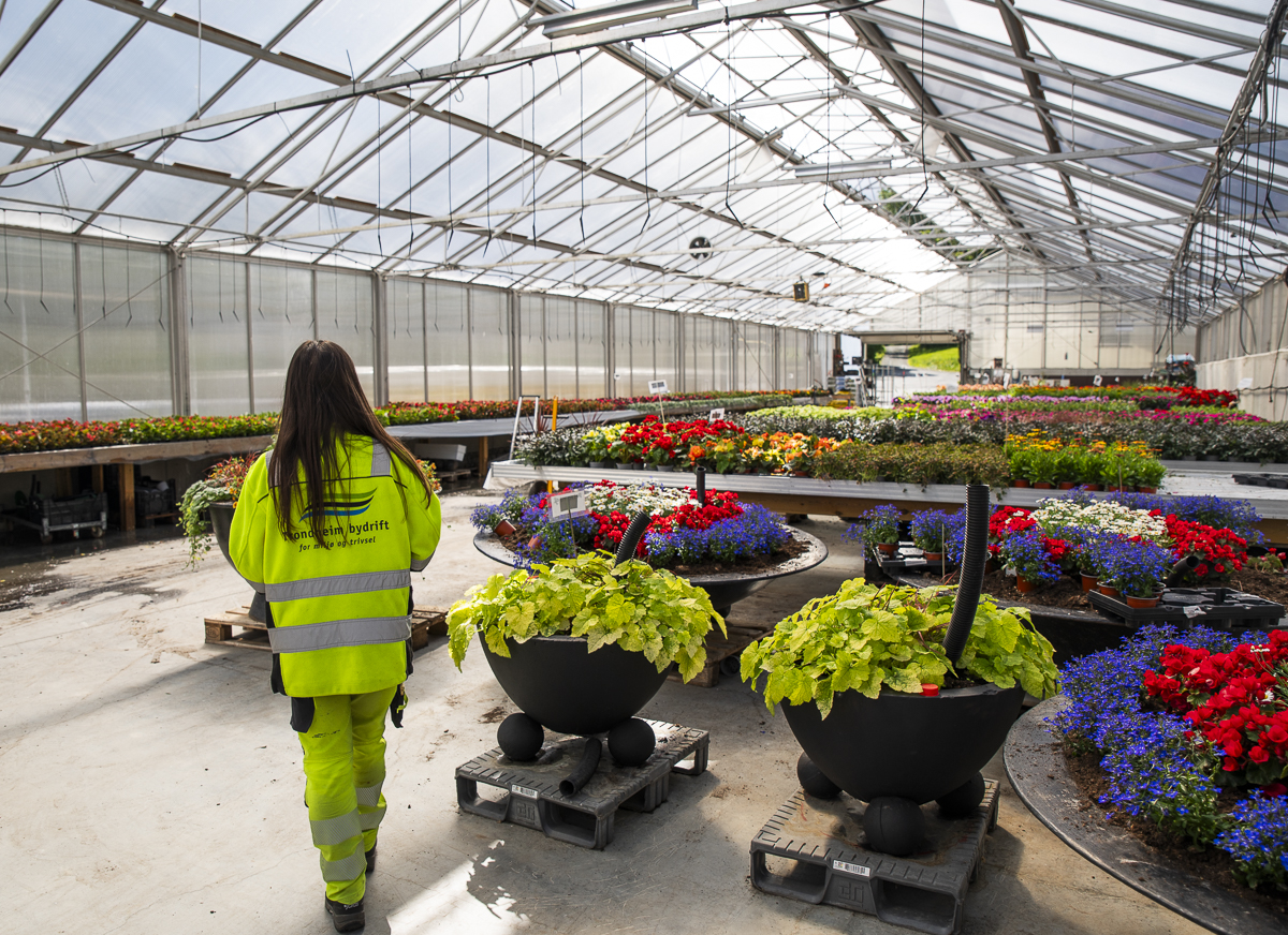 Cristina med hele drivhuset i bakgrunnen.