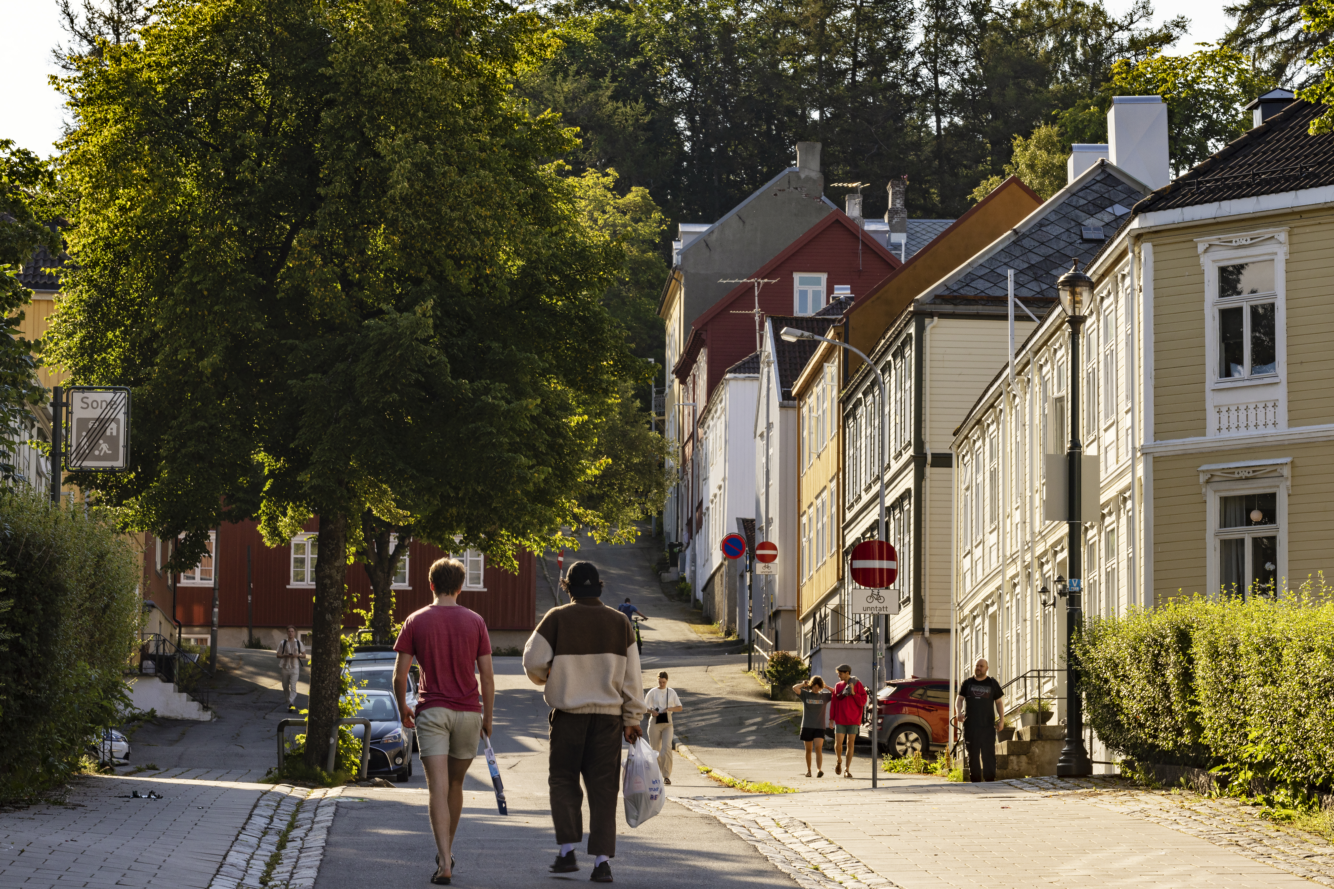 Møllenberg