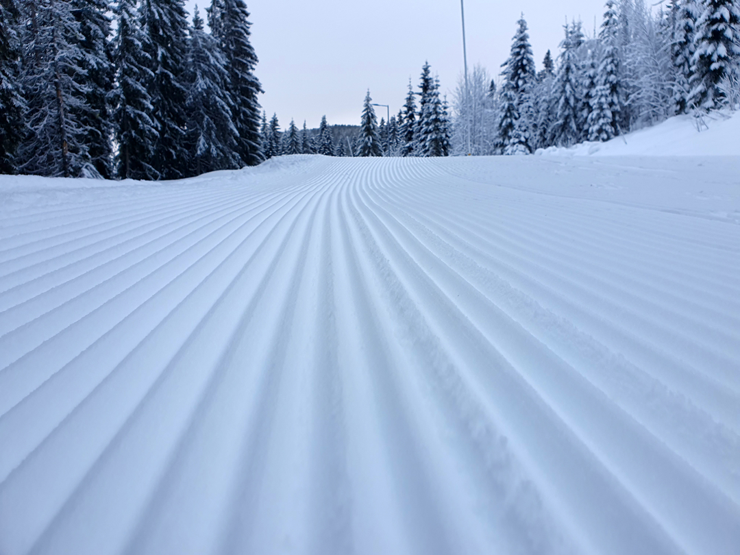 Utsnitt av skispor i Bymarka