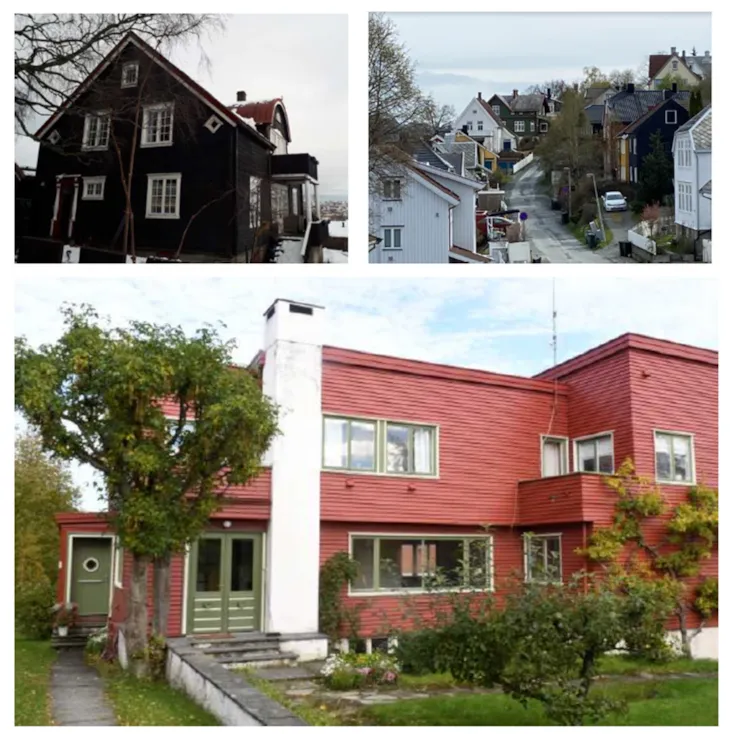 flerer ulike eneboliger i gamle åsvei