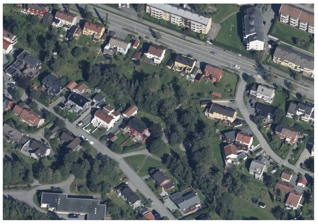 flufoto av gr&oslash;ntdrag