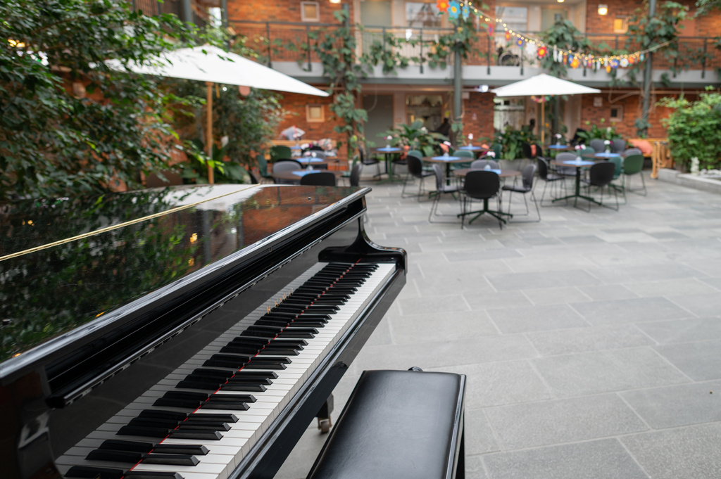 Fra scenen i vinterhagen