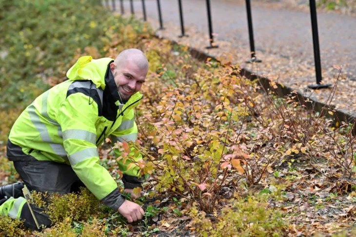 Foto av arbeidsleder Andreas Foss Pedersen som sitter på knærne i bedet go luker.