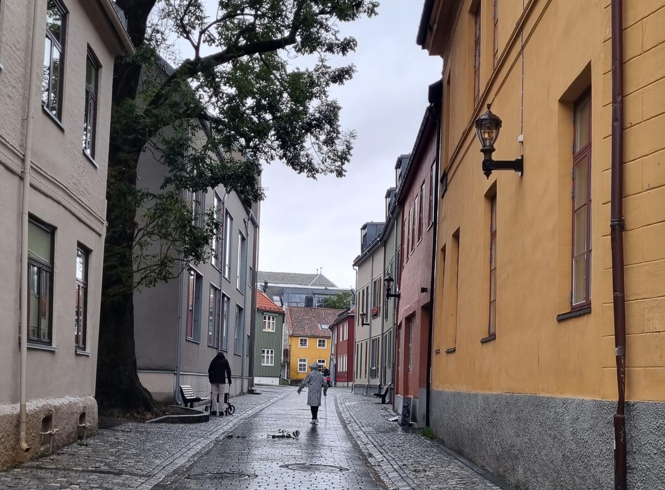belegningsstein i mindre gate med sm&aring; gatestein som markering av veggsone