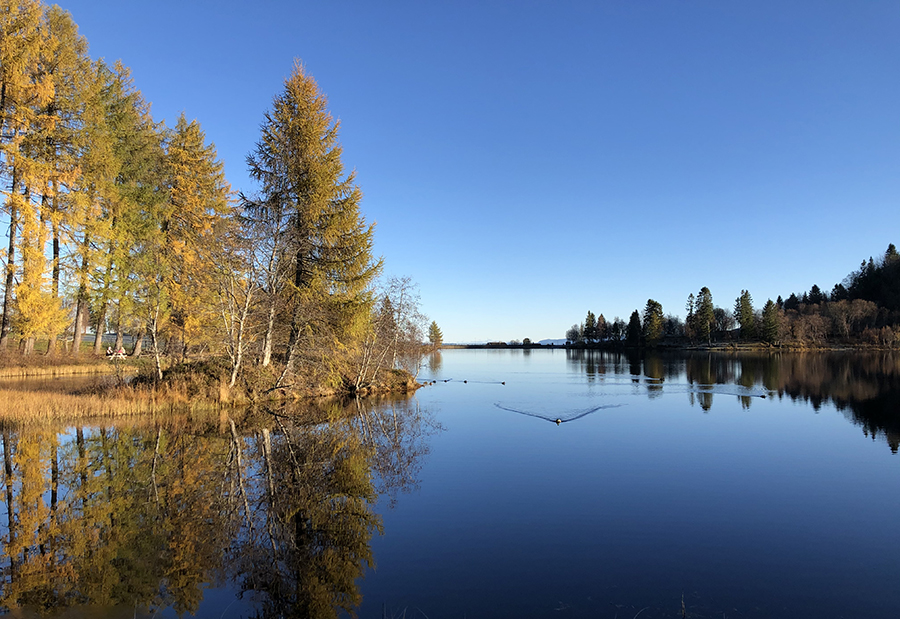 Theisendammen en høstdag