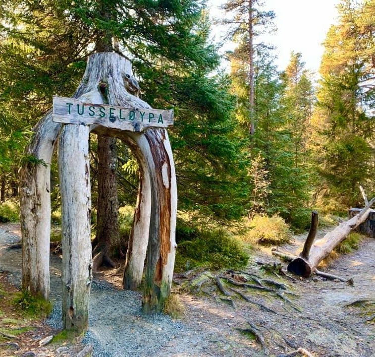 En skogssti går gjennom en rustikk portal laget av et stort, uthult trestykke med et skilt på toppen som sier "TUSSELØYPA". Rundt portalen er det grønn skog med høye grantrær og lyng, og en veltet trestamme ligger til høyre.