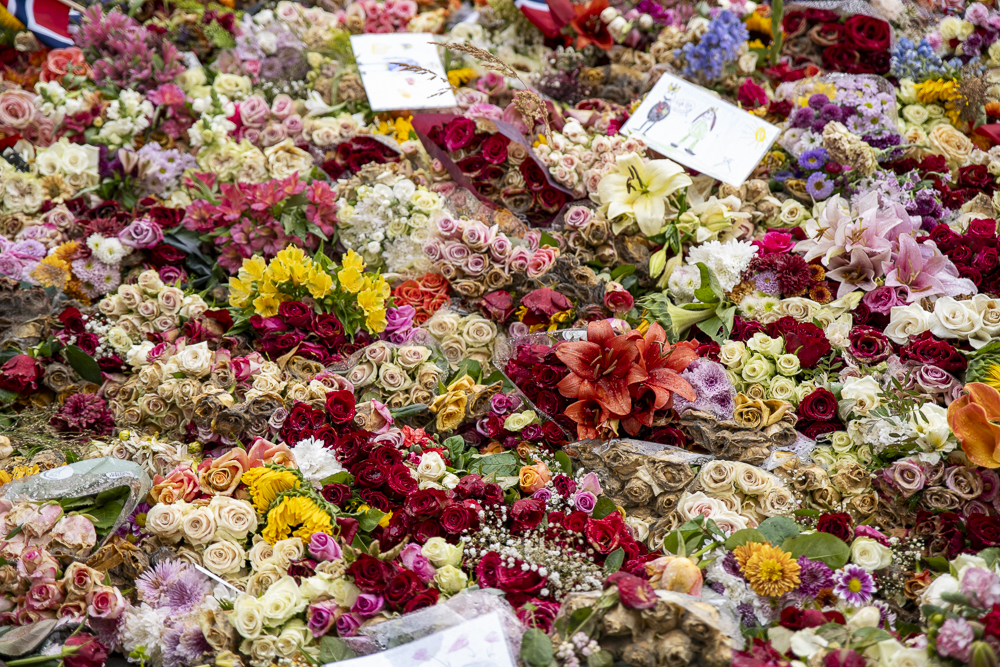 Blomster på nært hold