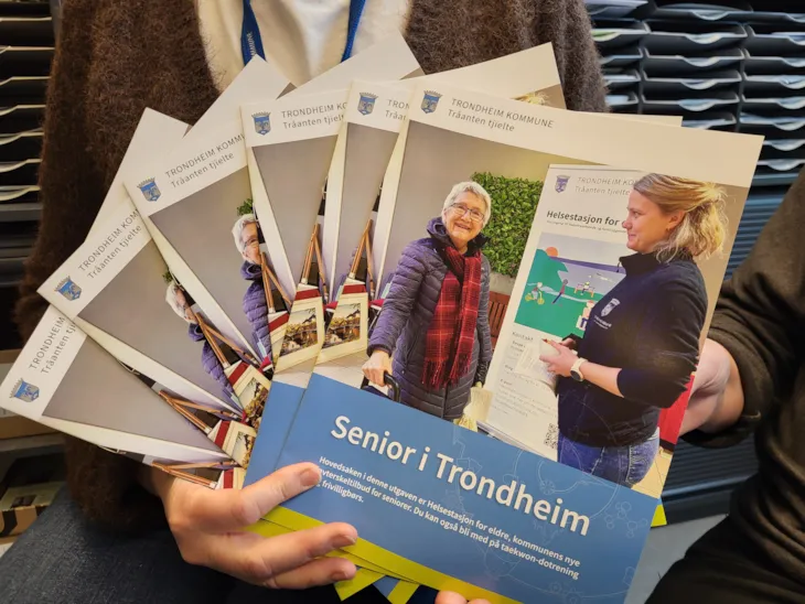 en bunke blader Senior i Trondheim