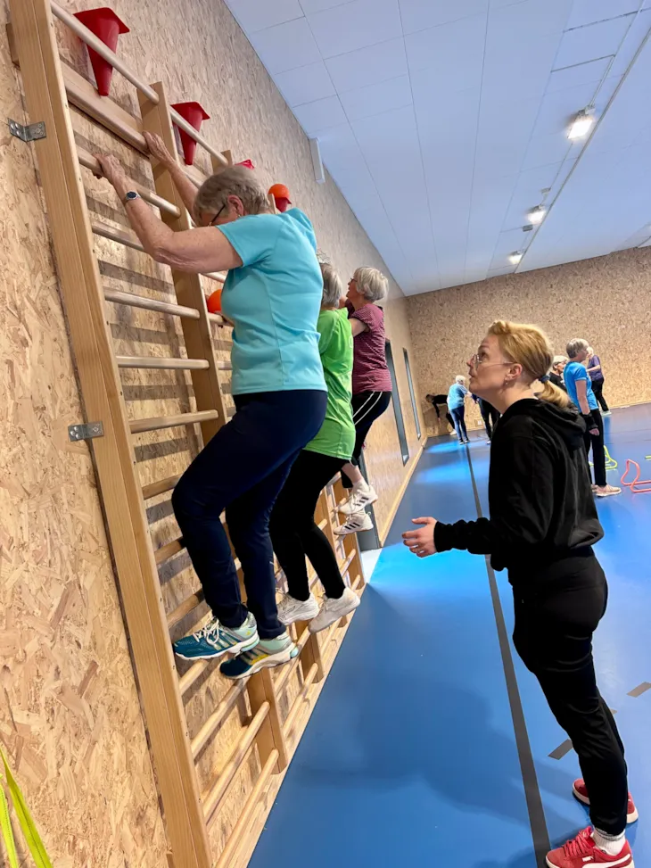 klatring i ribbevegg