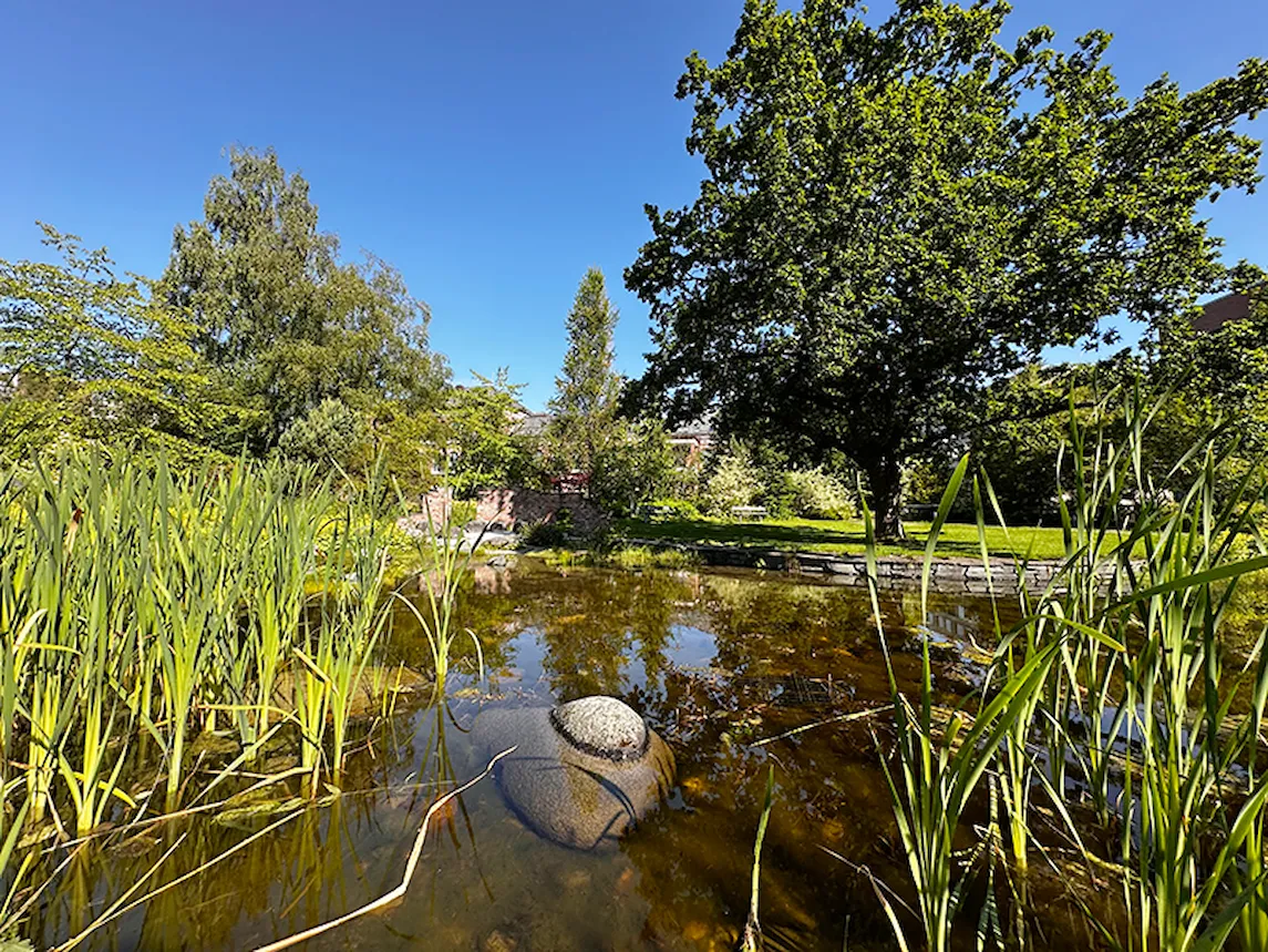 sykehusparken