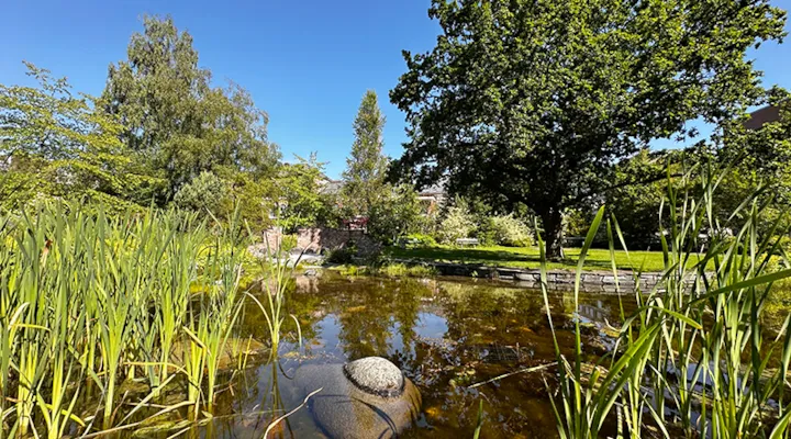 sykehusparken