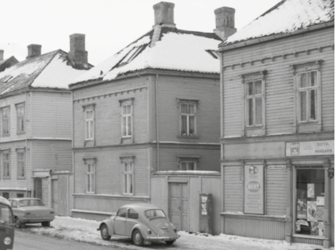 En av bildene til kapittelet om istandsetting: Gjerder og porter - side 49