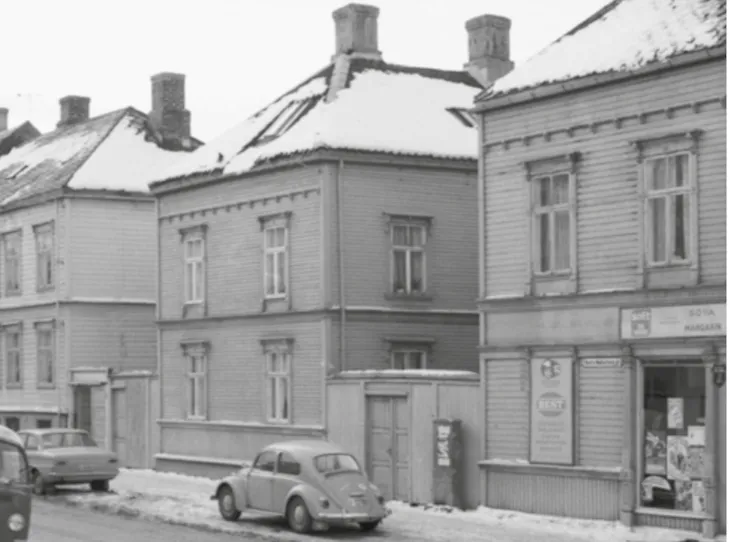 En av bildene til kapittelet om istandsetting: Gjerder og porter - side 49