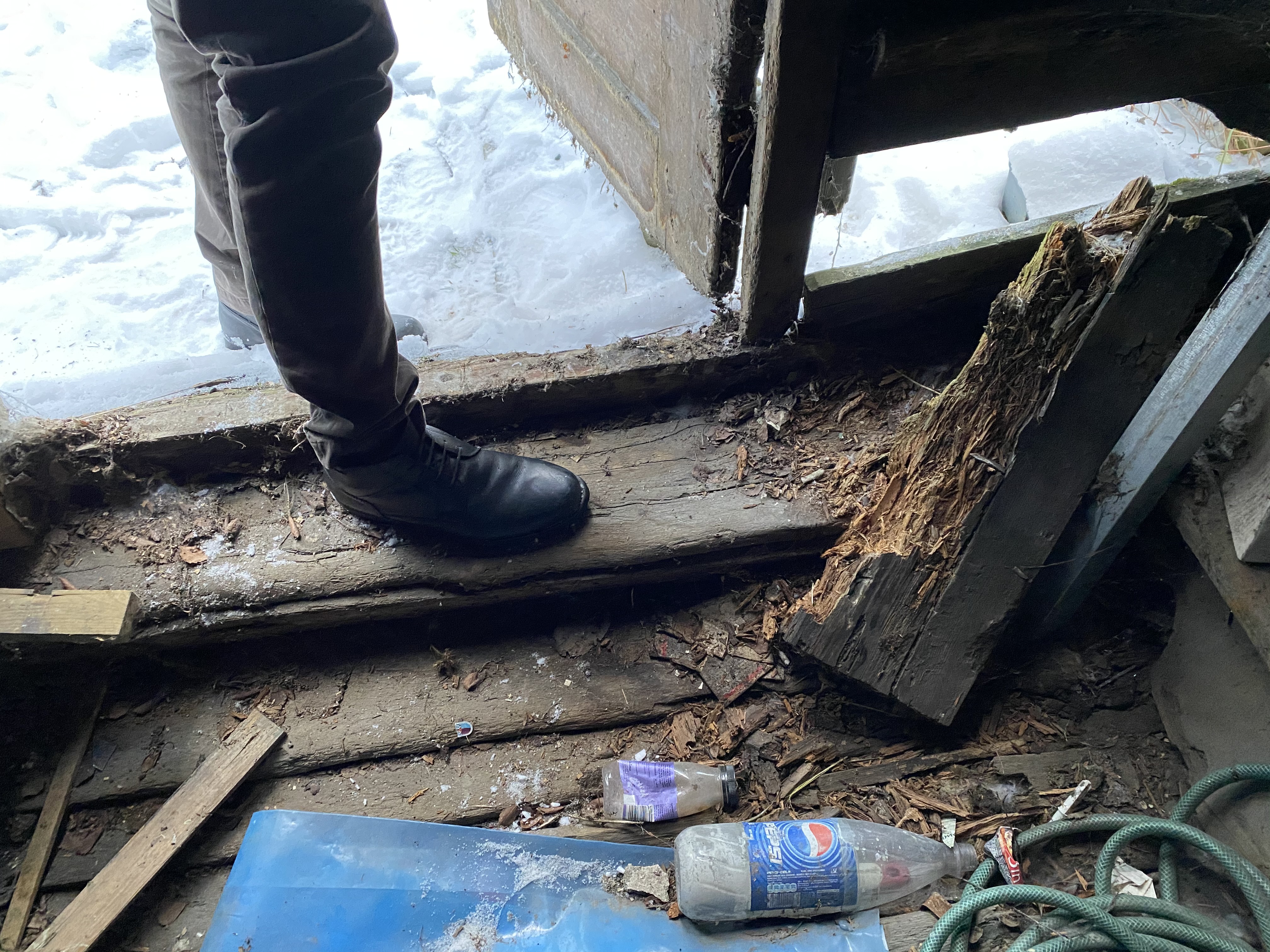 R&aring;teskader i gulv