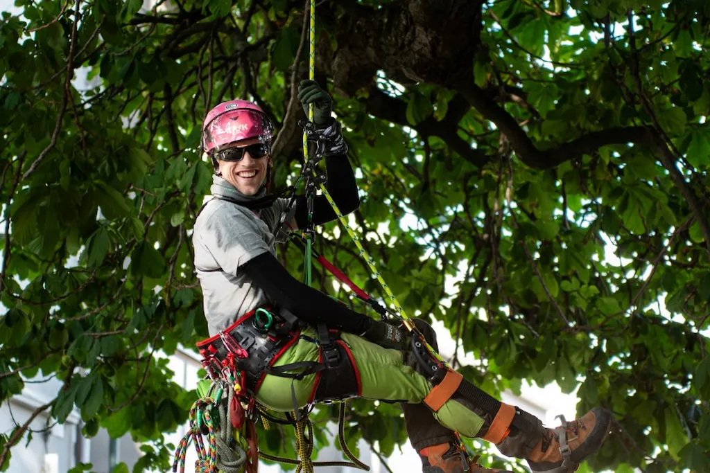 Martinus henger i tau ned fra et tre. Han har klatreutstyr på, i form av tau og annet sikkerhetsutstyr. Han smiler til fotografen.