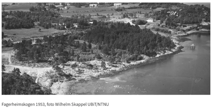 Flyfoto Fagerheimskogen