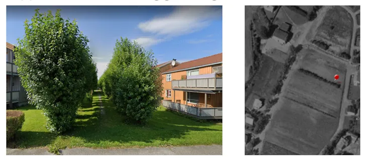 popelrekken før og nå