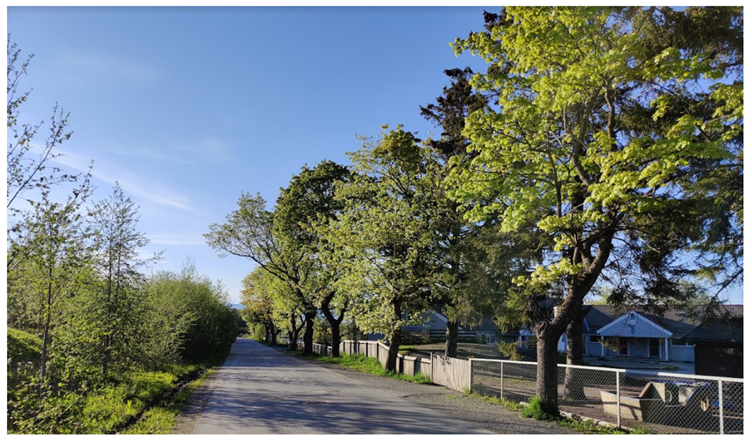 viser alleen i peder myhres vei