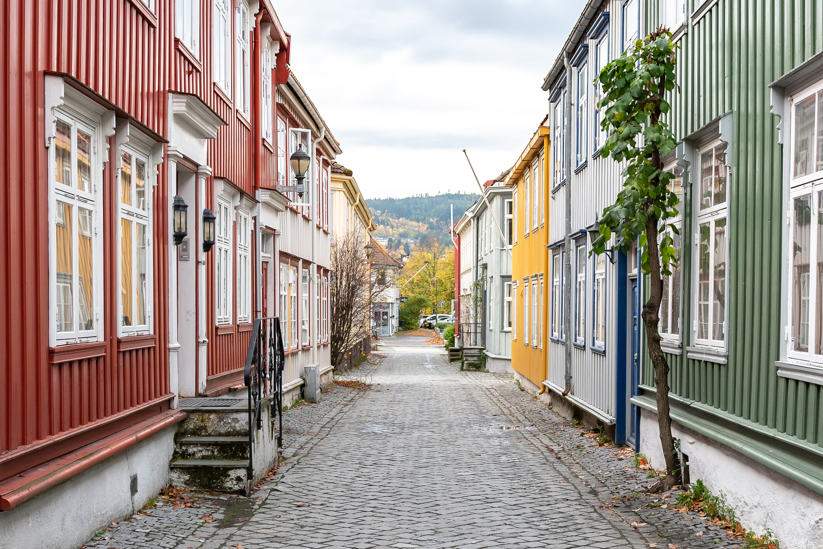 Veit med trehus på 2 etasjer på hver side