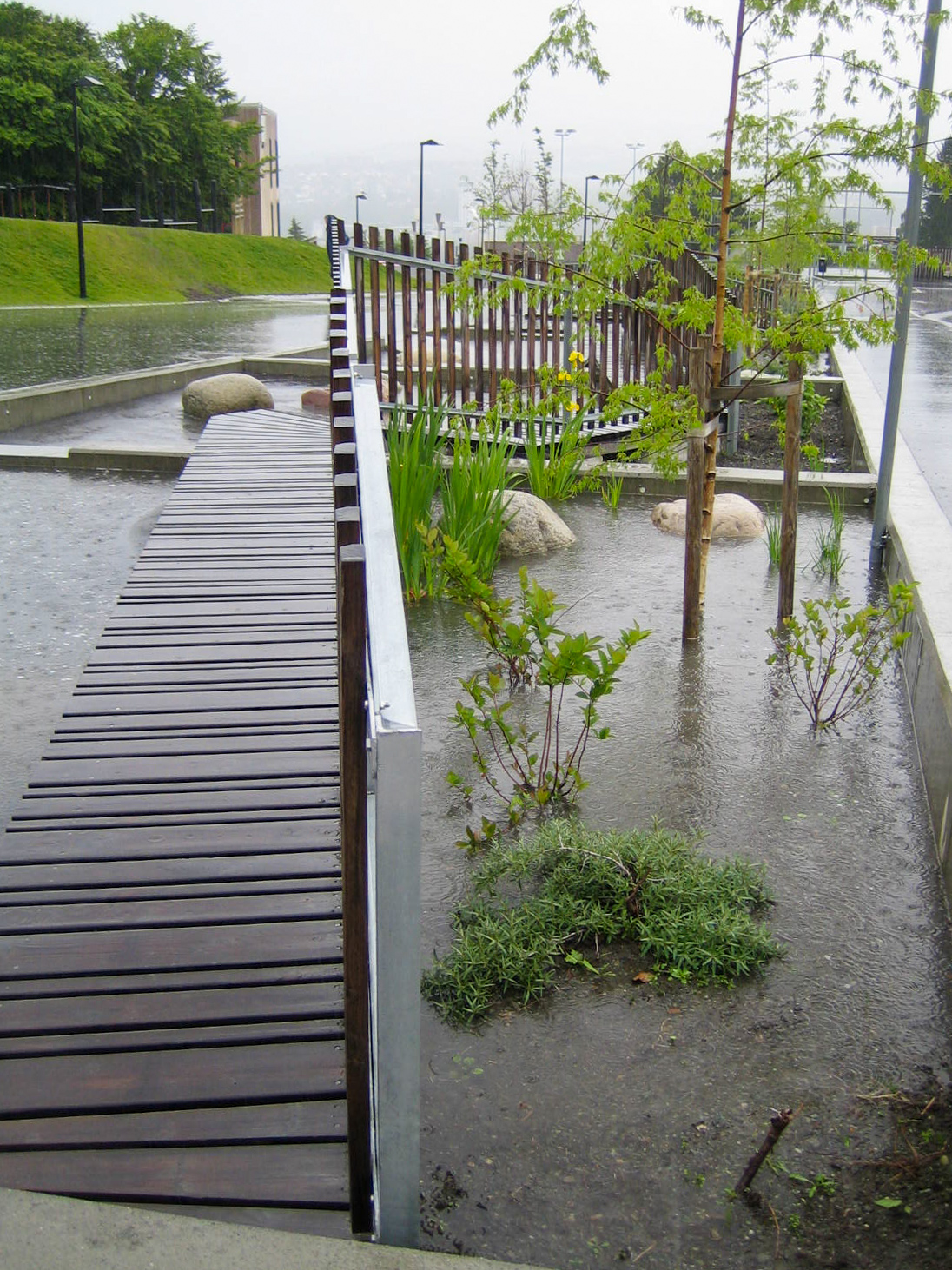 Et regnbed ved Åsveien skole