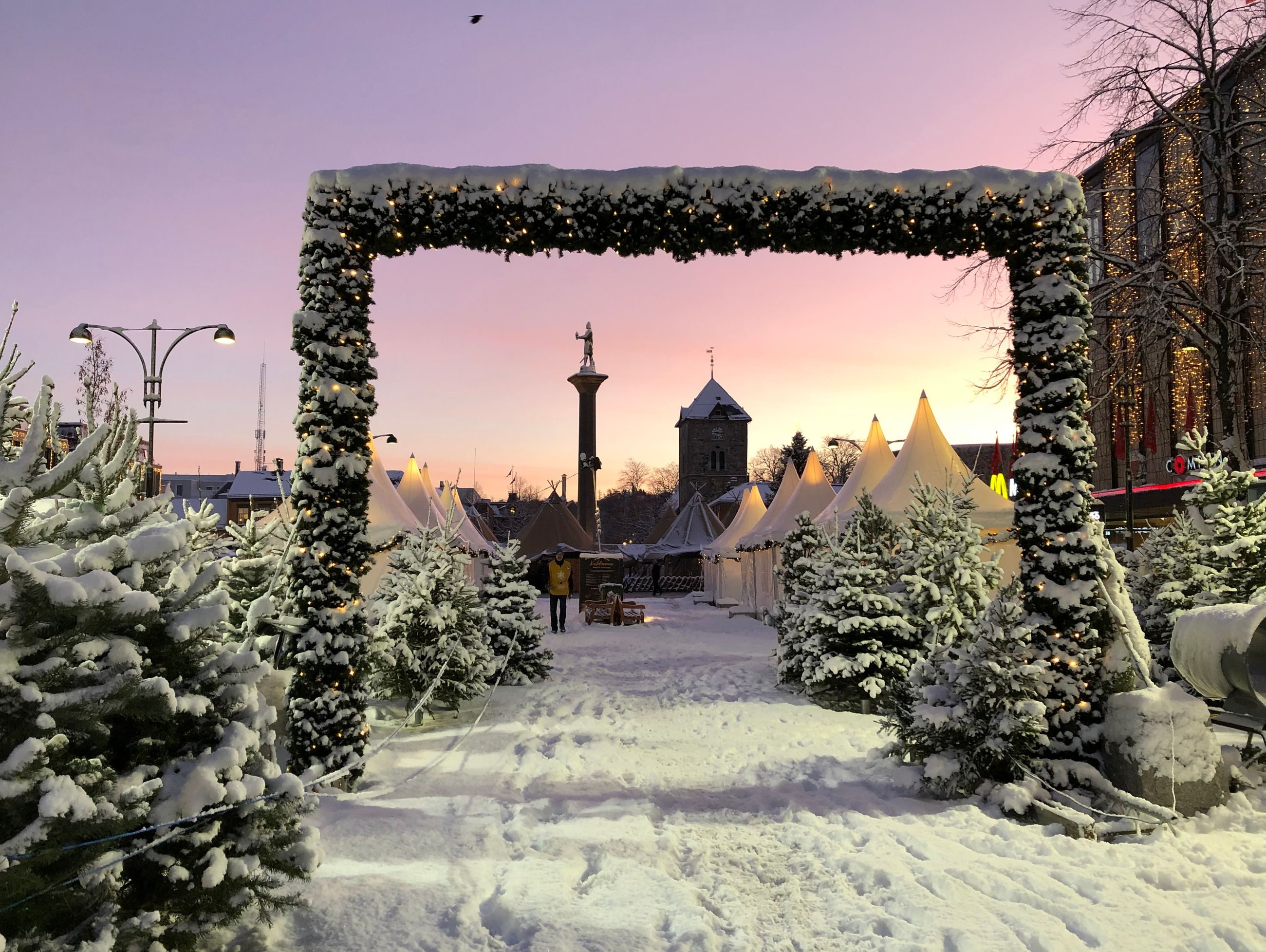 Inngangsparti Julemarkedet med juletrær og granbar