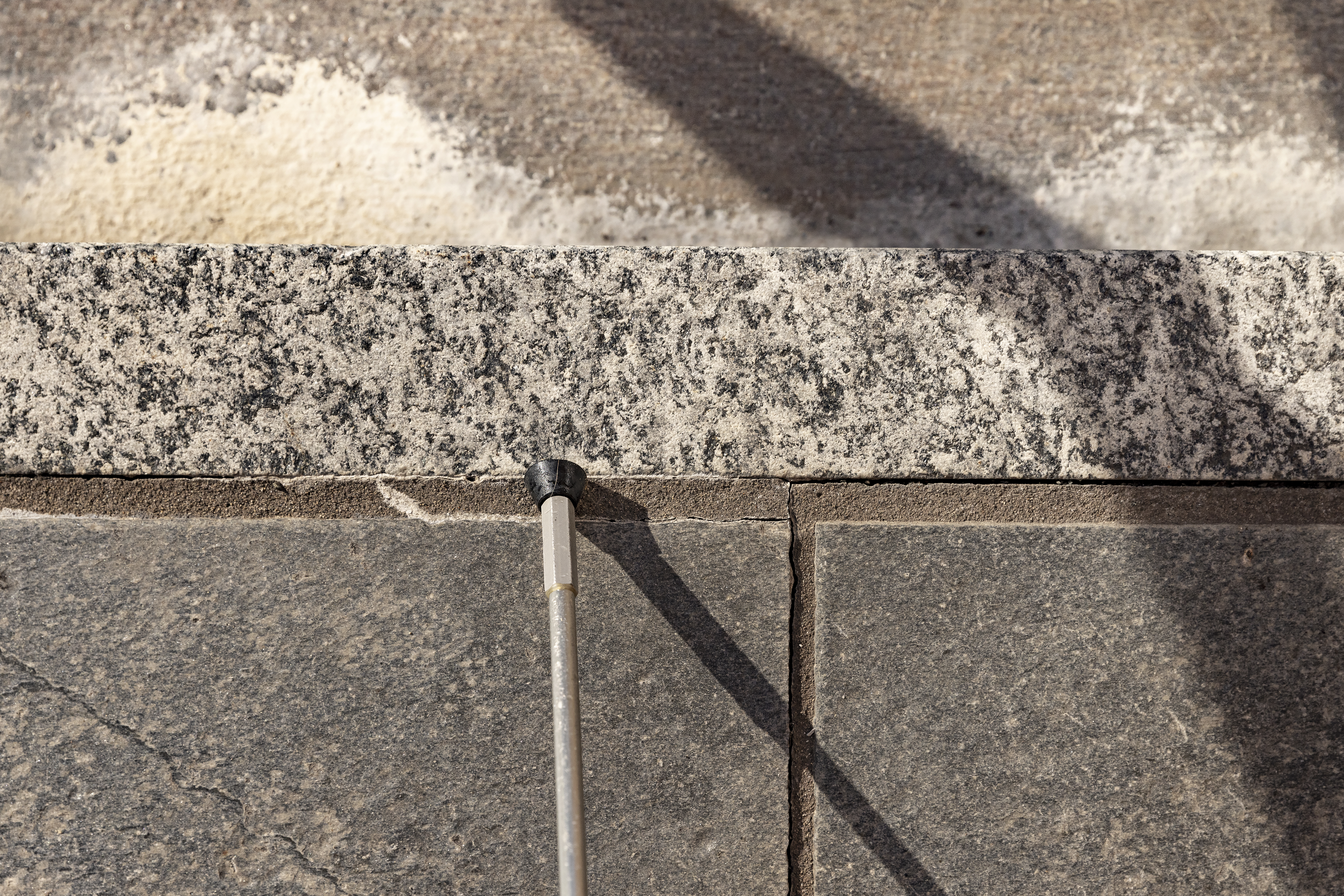 n&aelig;rbilde av trappenese med kontrastmarkering