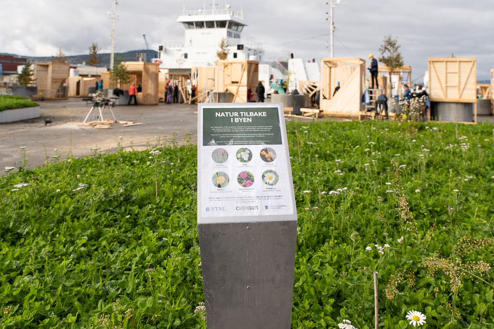 Plakat, planter og studentbygging på Strandveikaia 