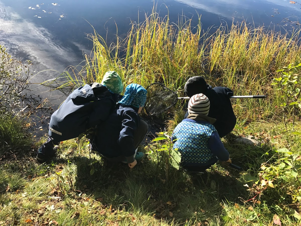 Fire unger med håv i vannkanten