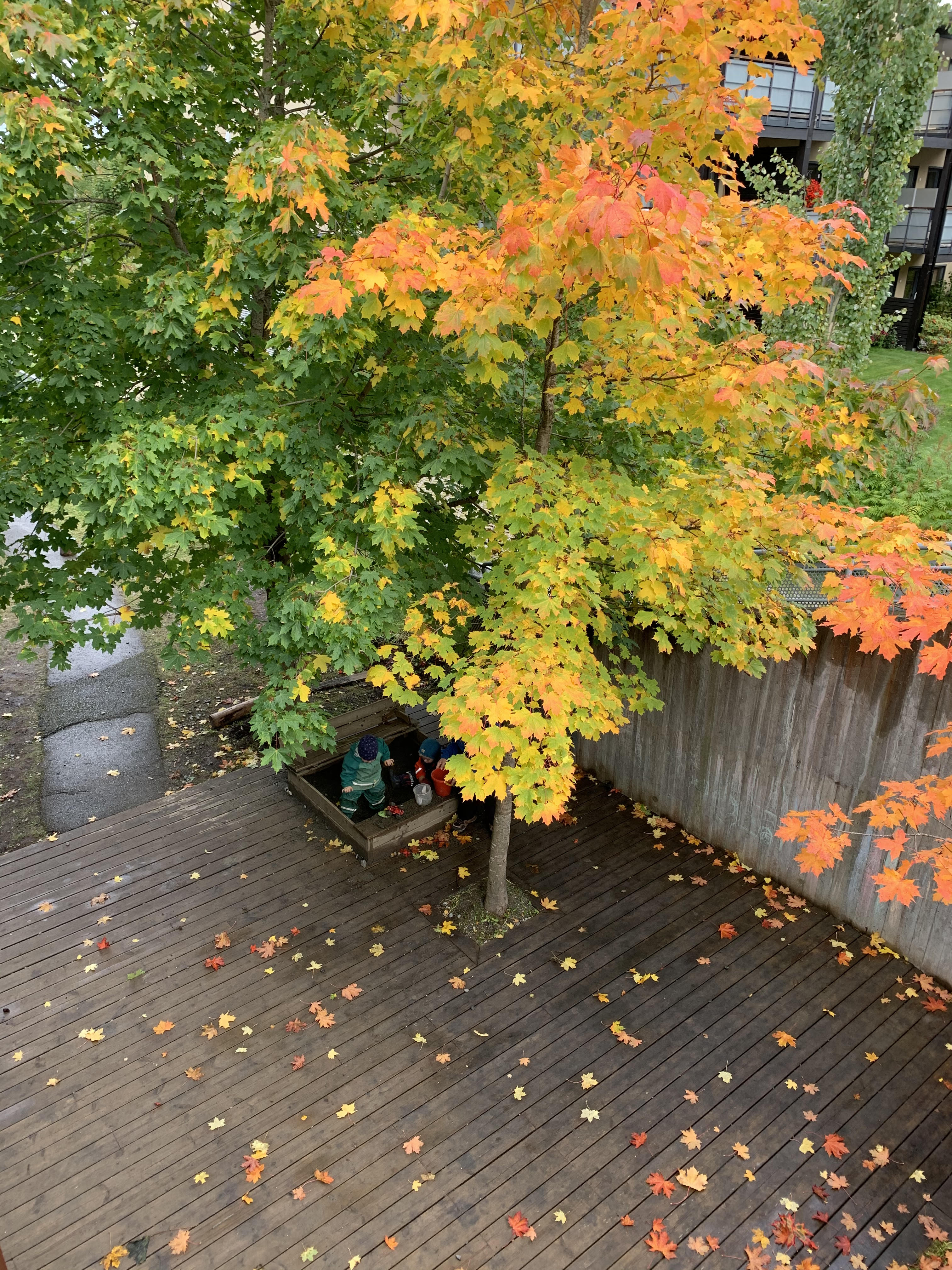 Illuastasjonsfoto av kunst