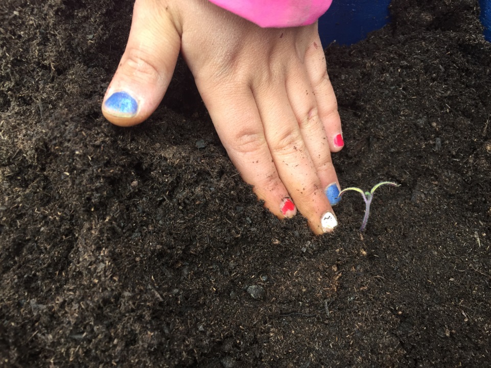 Foto av en barnehånd og av en spire i jorden
