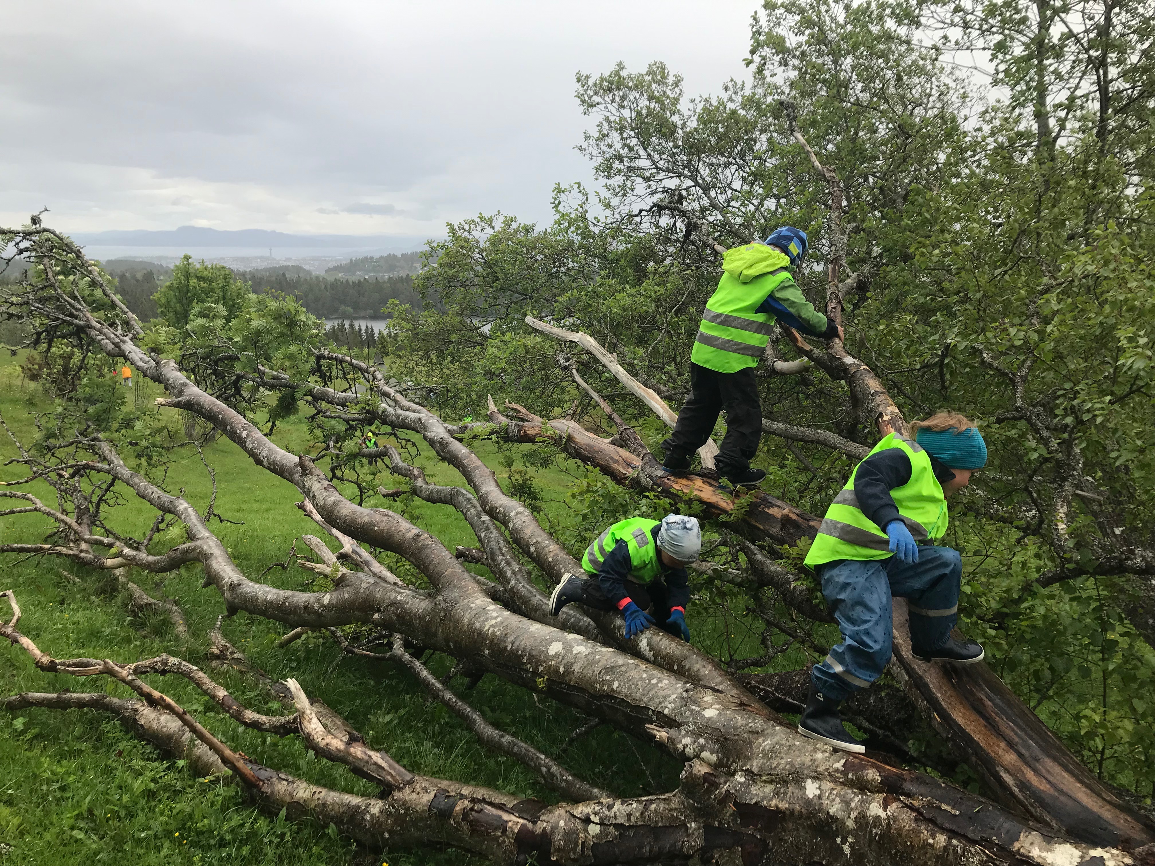 Kystadåsen barnehage