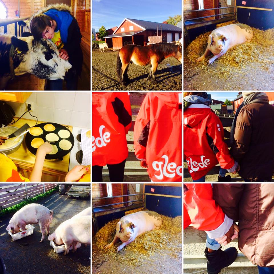 Tur til Voll g&aring;rd med livsgledeelever og beboere