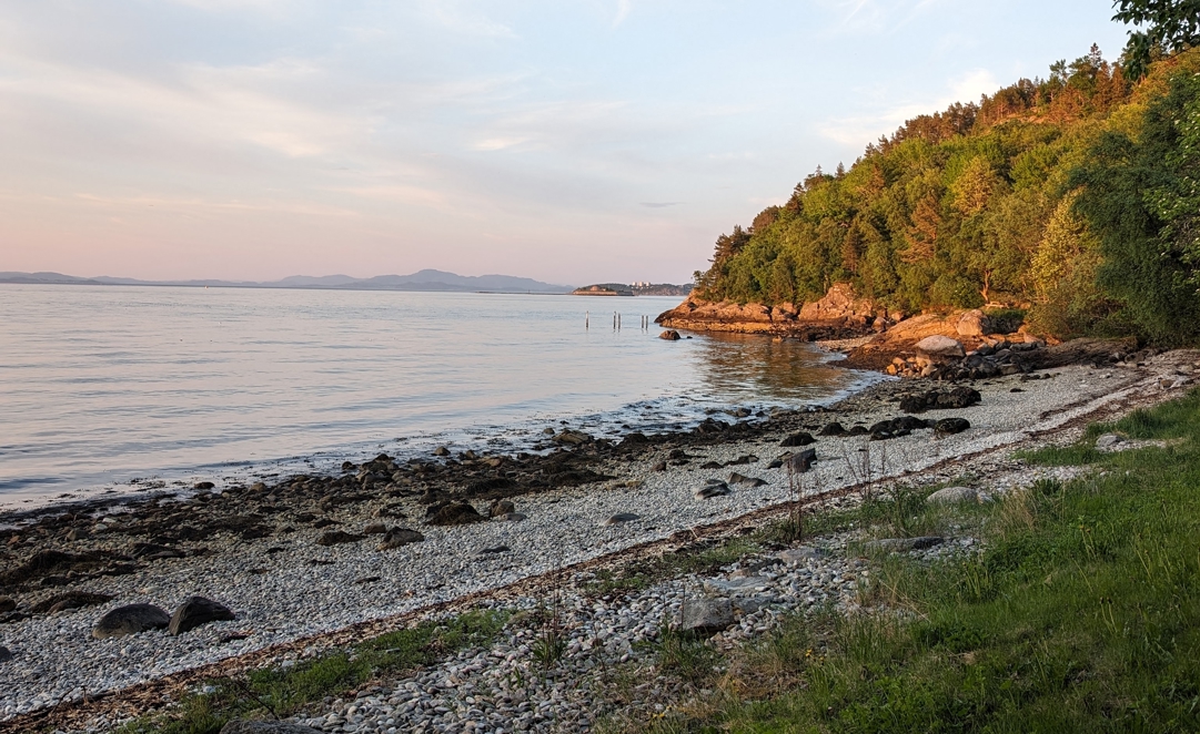 Foto av Brænnebukta med Munkholmen i bakgrunnen