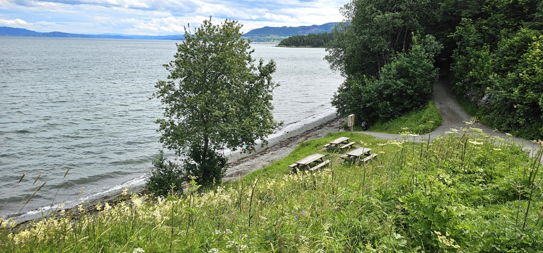 Foto av strand og med tre piknikkbenker på gressplen