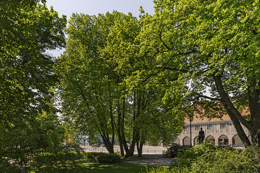 Kong Haakon VII park