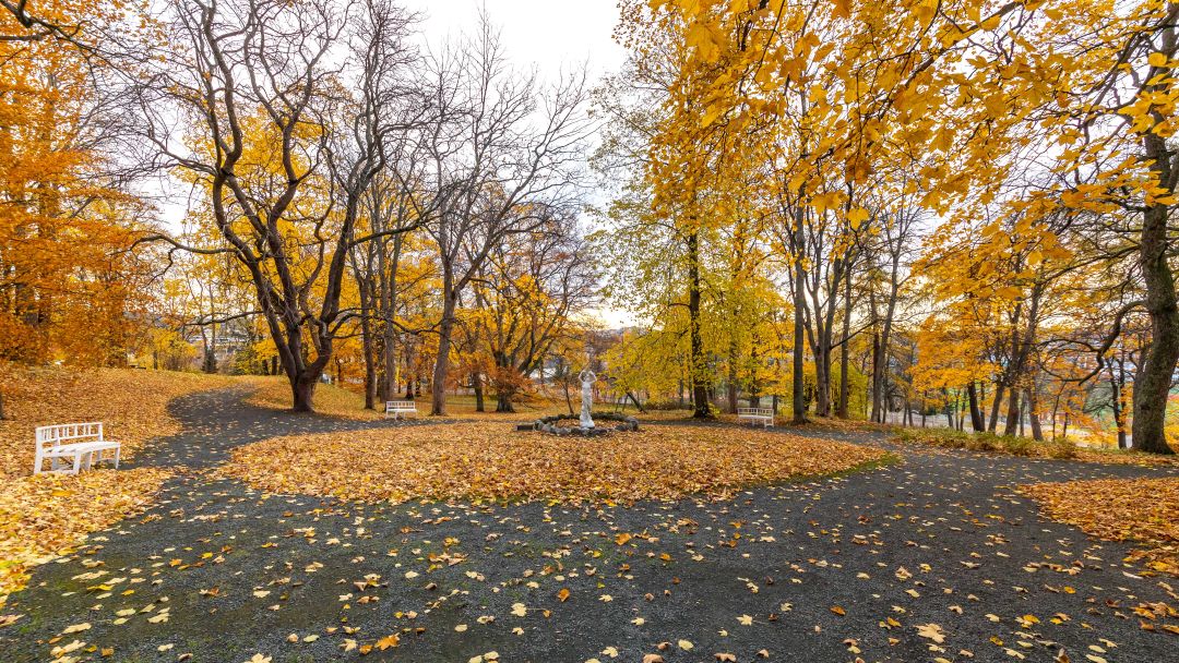 Ringve botaniske hage