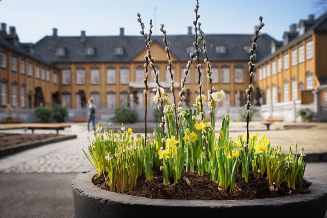 Parken med stiftsgården i bakgrunnen