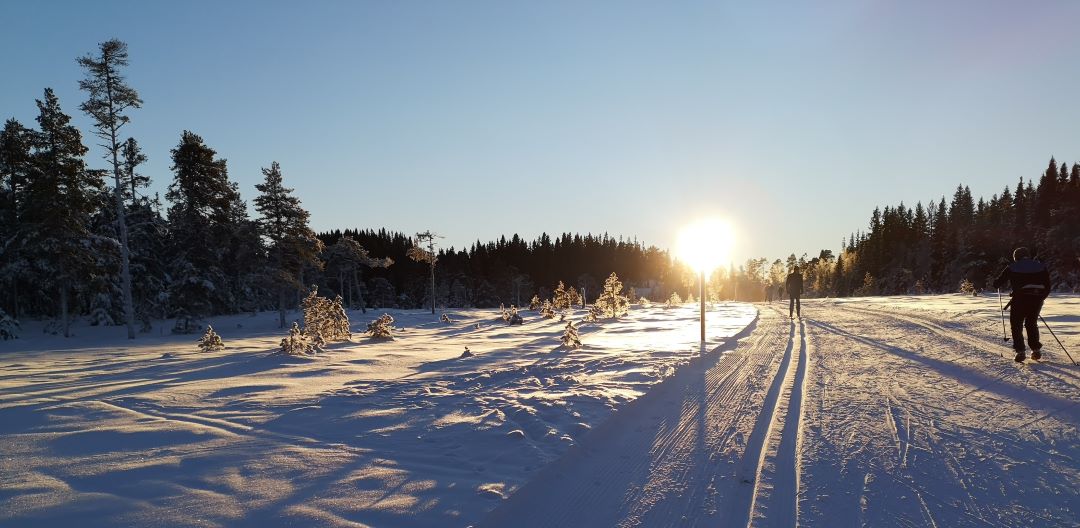 Sol over skiløype