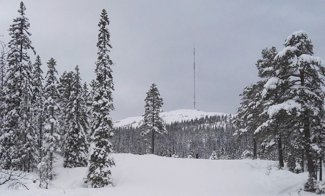 Fjelltopp med mast i snødekt skog