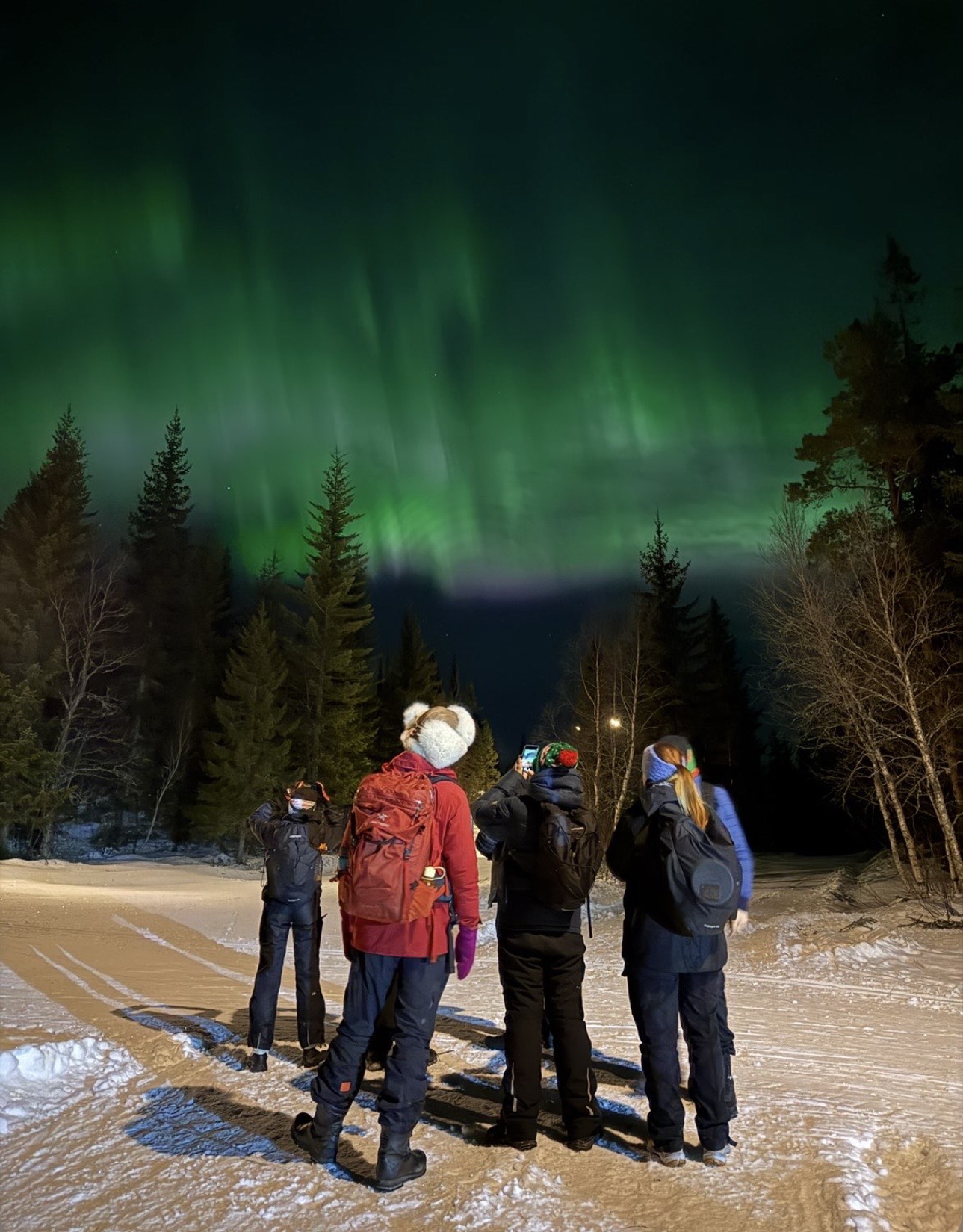 Bilde av ungdommer som padler på SUP på et vann i skogen