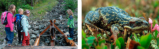 Barn p&aring; tur, vannhjul og frosk