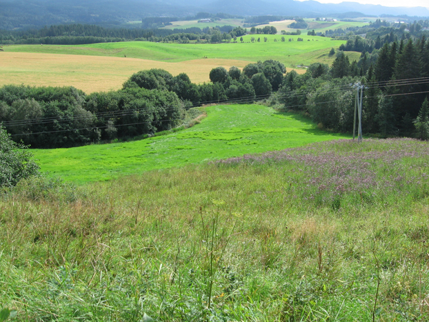 Jordbrukslandskap p&aring; Bratsberg