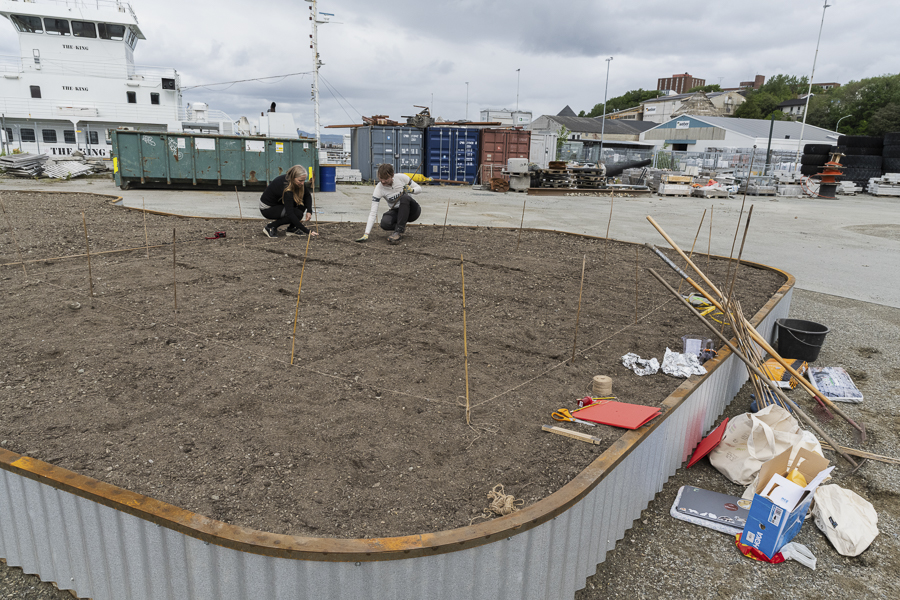 Arbeid med å så i plantekassene