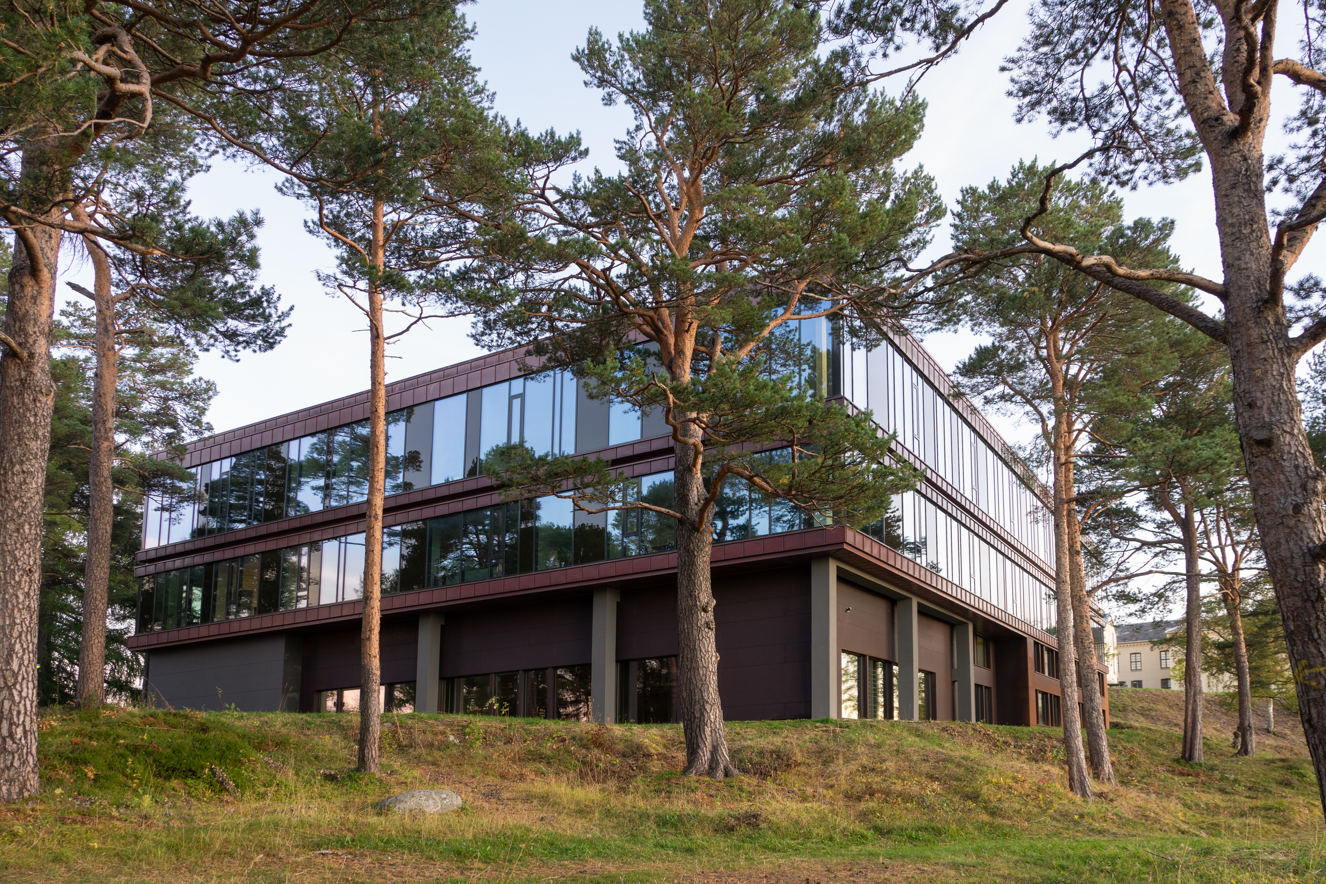 Aktivitetsbygget ved Rotvoll Park