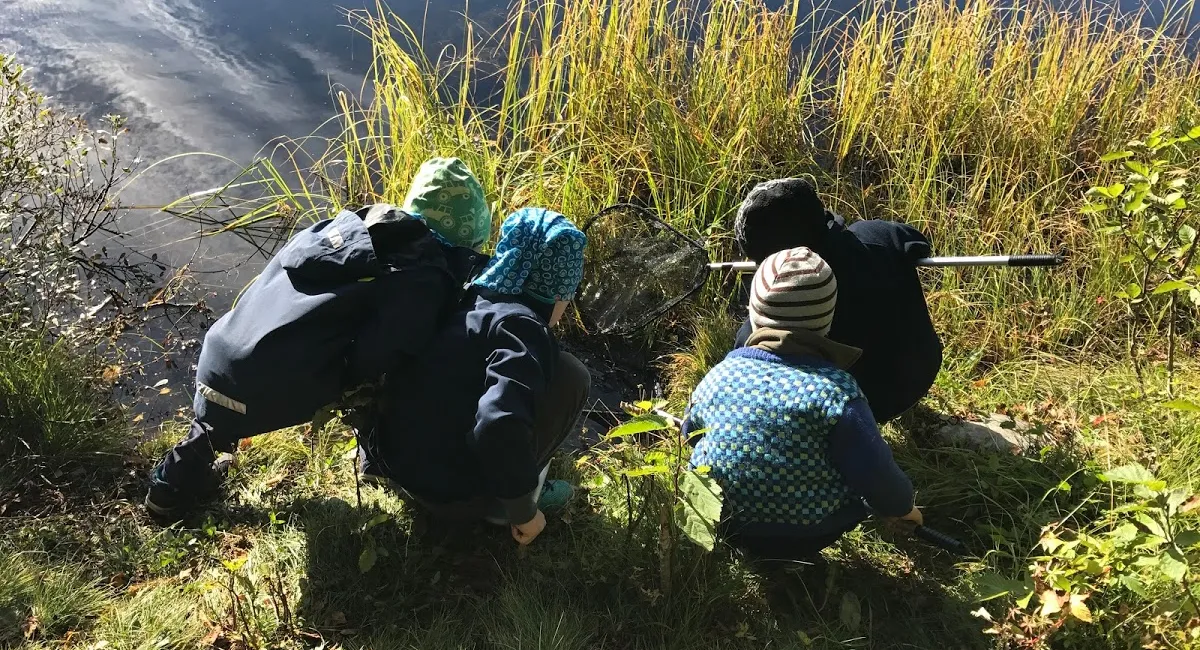 Fire unger med håv i vannkanten