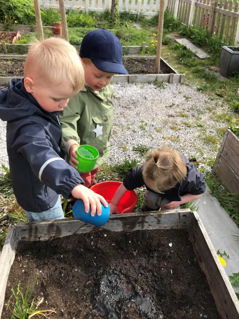 God hjelp til vanning i kj&oslash;kkenhagen