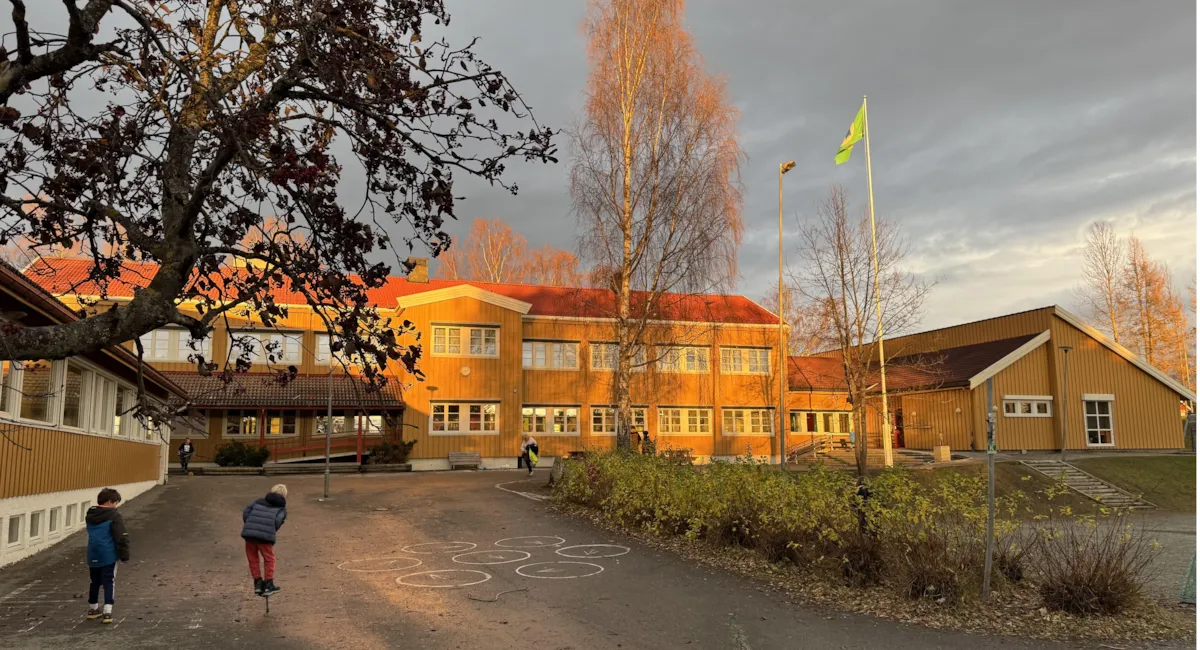 Nypvang skole