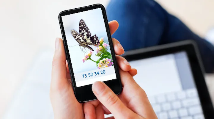 Bilde av noen som holder en mobiltelefon med krisesenterets nummer på.