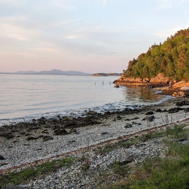 Foto av Brænnebukta med Munkholmen i bakgrunnen