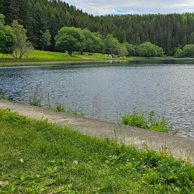 En tursti langs en innsjø i skogen